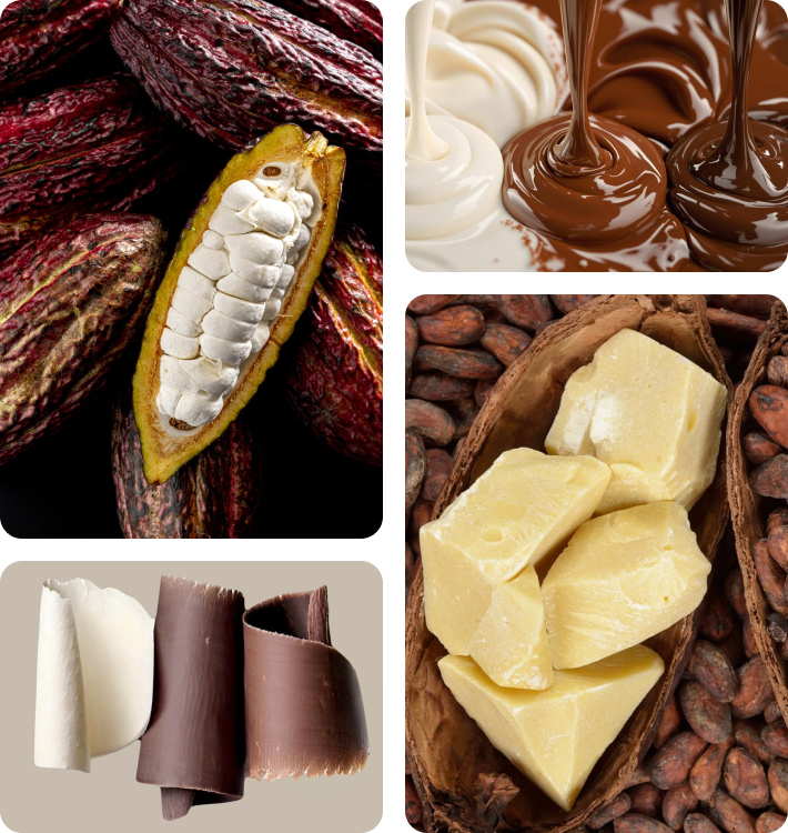 wholesale cocoa butter