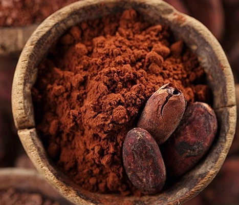 Cocoa Powder